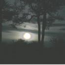 To Catch a Mooch: Real-Life Horror Stories Photo